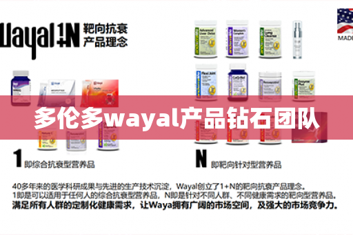 多伦多wayal产品钻石团队