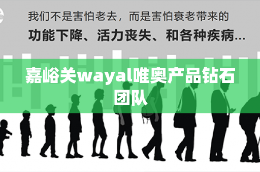 嘉峪关wayal唯奥产品钻石团队