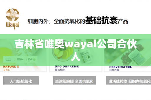 吉林省唯奥wayal公司合伙人第1张-Wayal唯奥公司