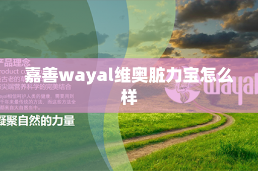 嘉善wayal维奥脏力宝怎么样