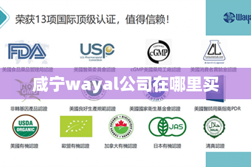 咸宁wayal公司在哪里买