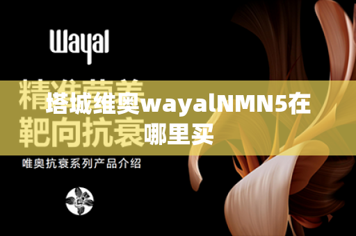 塔城维奥wayalNMN5在哪里买第1张-Wayal唯奥公司