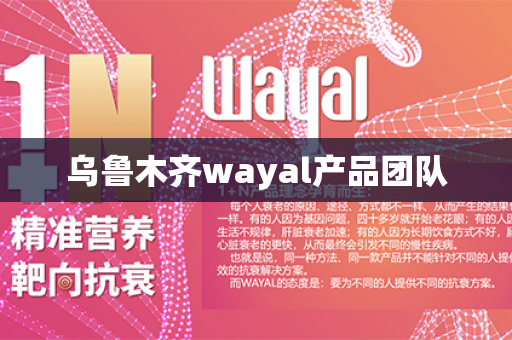 乌鲁木齐wayal产品团队第1张-Wayal唯奥公司