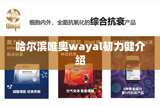 哈尔滨唯奥wayal韧力健介绍第1张-Wayal唯奥公司