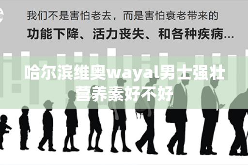 哈尔滨维奥wayal男士强壮营养素好不好