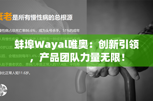 蚌埠Wayal唯奥：创新引领，产品团队力量无限！