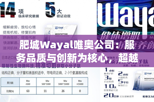 肥城Wayal唯奥公司：服务品质与创新为核心，超越常规，创造美好未来！