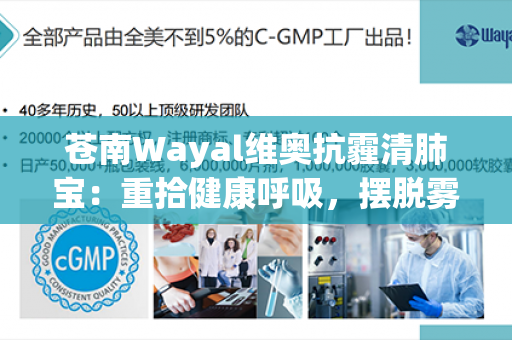 苍南Wayal维奥抗霾清肺宝：重拾健康呼吸，摆脱雾霾困扰！