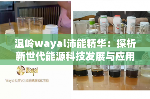 温岭wayal沛能精华：探析新世代能源科技发展与应用展望