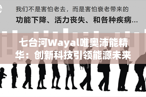 七台河Wayal唯奥沛能精华：创新科技引领能源未来