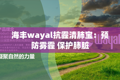 海丰wayal抗霾清肺宝：预防雾霾 保护肺脏