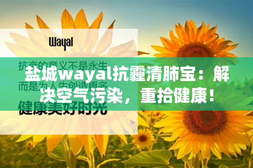 盐城wayal抗霾清肺宝：解决空气污染，重拾健康！