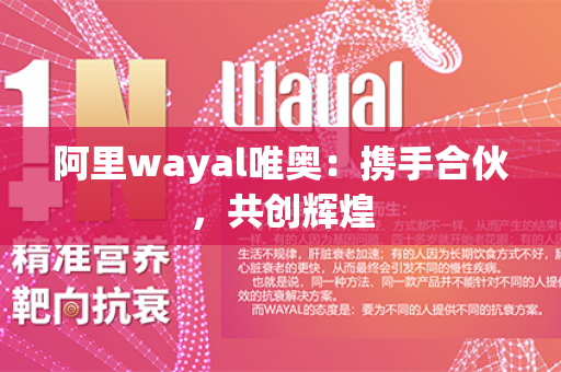 阿里wayal唯奥：携手合伙，共创辉煌