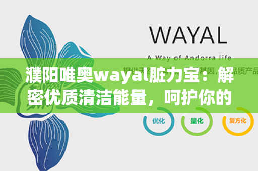 濮阳唯奥wayal脏力宝：解密优质清洁能量，呵护你的健康与环境！