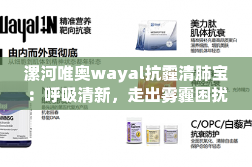 漯河唯奥wayal抗霾清肺宝：呼吸清新，走出雾霾困扰！