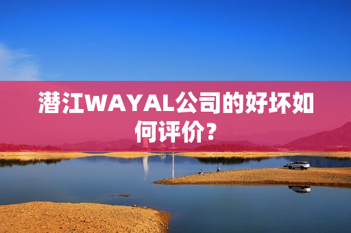 潜江WAYAL公司的好坏如何评价？第1张-Wayal唯奥公司