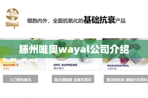 滕州唯奥wayal公司介绍