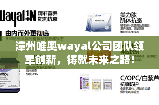 漳州唯奥wayal公司团队领军创新，铸就未来之路！